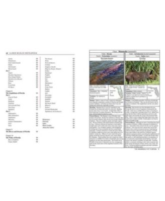 Florida Wildlife Encyclopedia - An Illustrated Guide to Birds, Fish, Mammals, Reptiles, and Amphibians by Scott Shupe