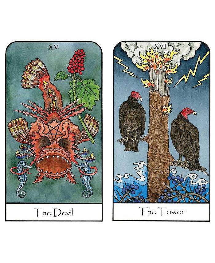 Barnes & Noble Nature Spirit Tarot A 78Card Deck and Book For The