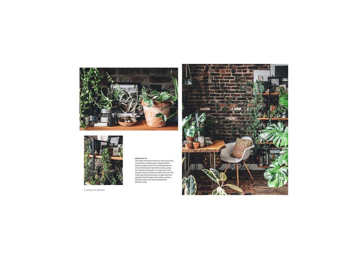 Wild Interiors - Beautiful Plants in Beautiful Spaces by Hilton Carter
