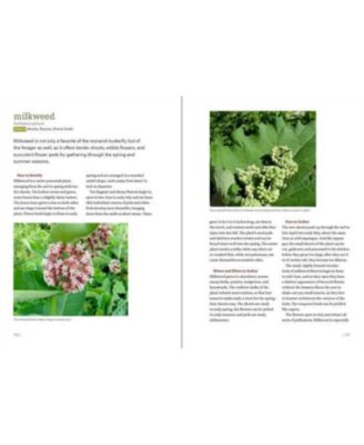 Midwest Foraging: 115 Wild and Flavorful Edibles from Burdock to Wild Peach by Lisa M. Rose