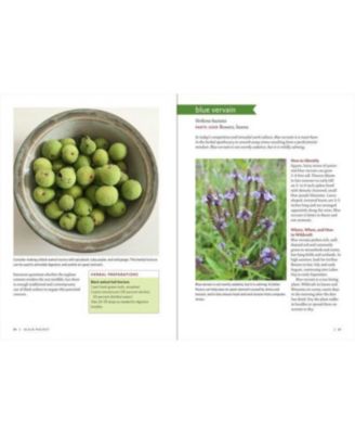 Midwest Medicinal Plants: Identify, Harvest, and Use 109 Wild Herbs for Health and Wellness by Lisa M. Rose