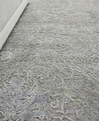 Meena ER2468 8' x 10' Area Rug