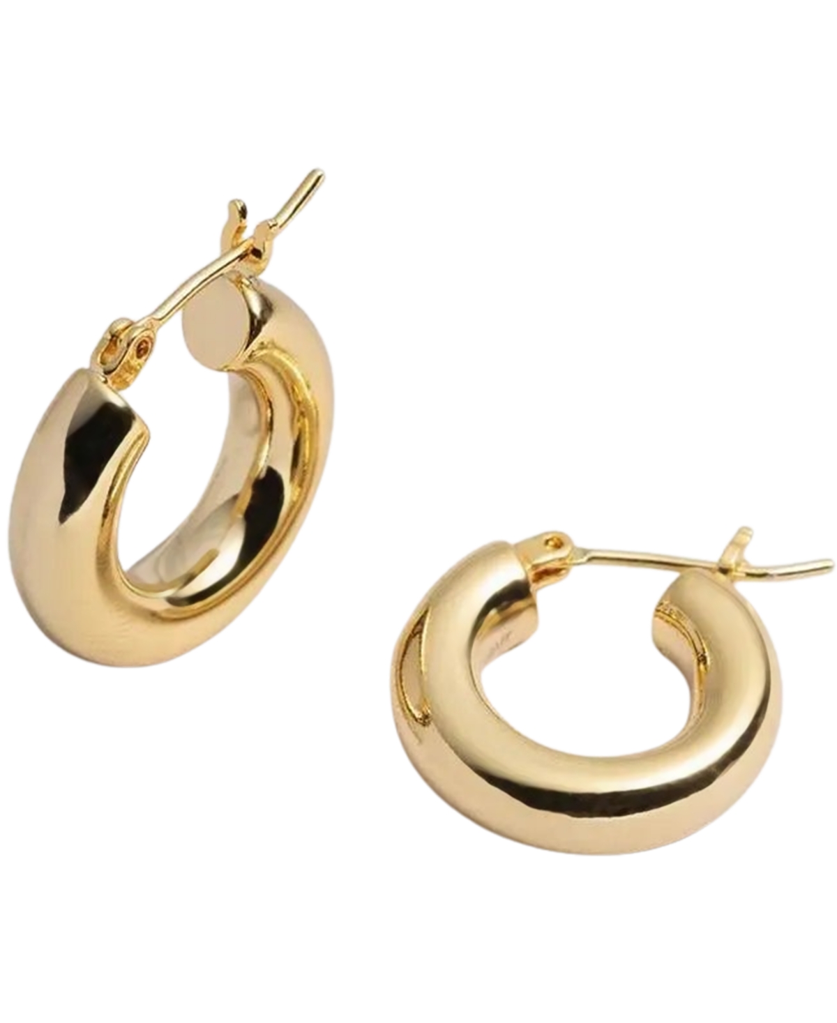 Bonheur Jewelry Holly Small Chunky Hoop Earrings In Gold