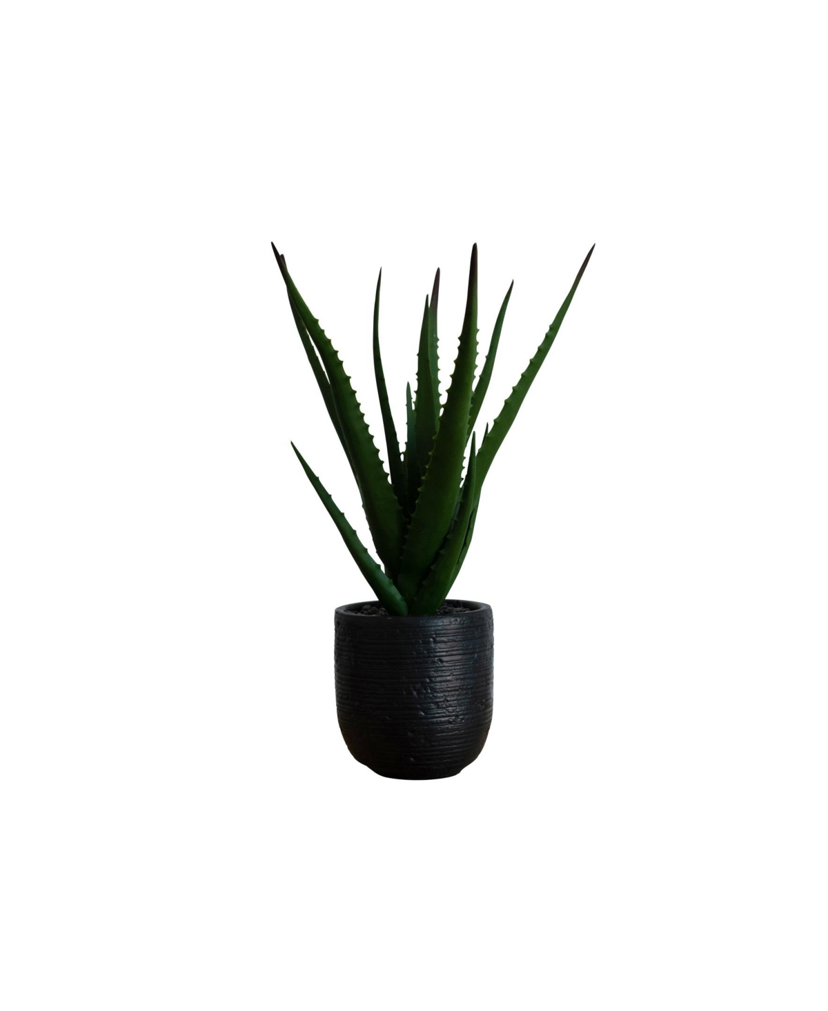 Desktop Artificial Agave in Decorative Cement Pot, 18" - Black