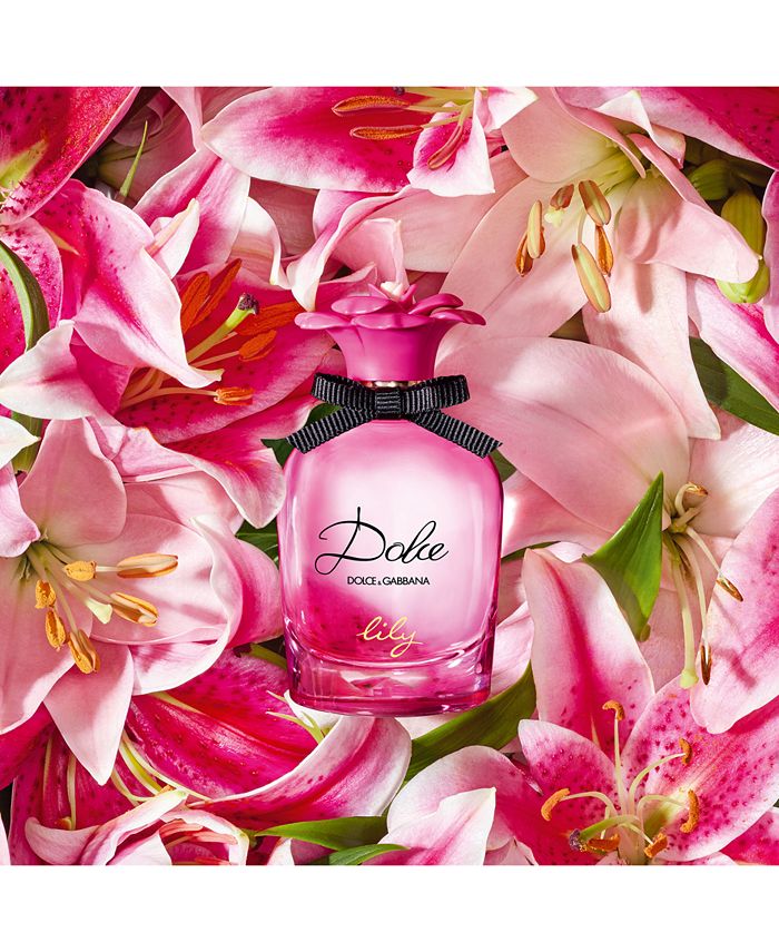 Macy's DOLCE&GABBANA 3Pc. Dolce Lily Eau de Toilette Gift Set Macy's