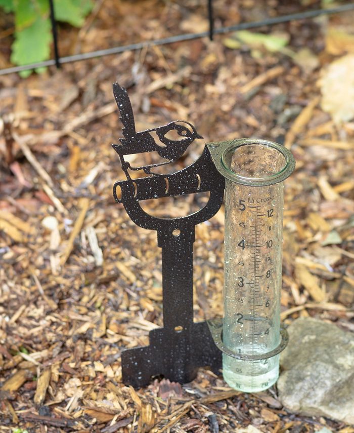 Outdoor Rain Gauges For Yard Reviews For La Crosse 5 Inch Capacity Glass Blue Butterfly Rain Gauge | Pg 1 - The Home Depot Digital Rain Gauge