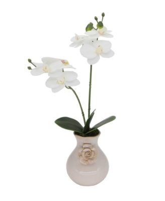 Flora Bunda