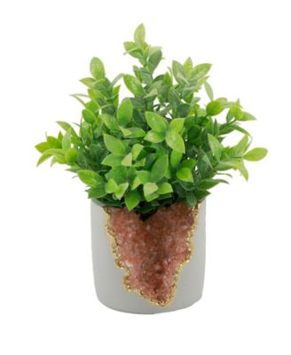 Flora Bunda