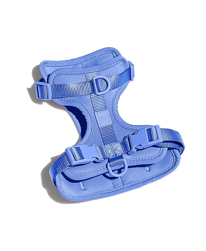 Wild one harness shop sale