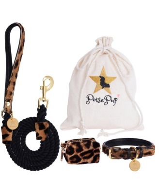 Pet Dog 5ft Long Leash - Wildest One