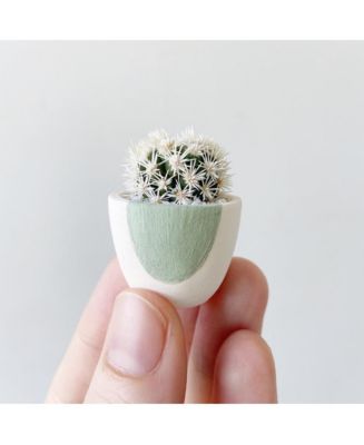 Candace Mini Cactus Kit - Macy's