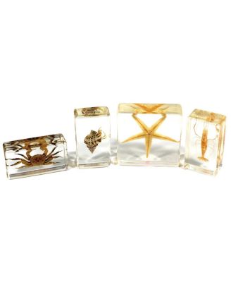 Kaplan Early Learning Sea Life Specimens - Set of 4 - Macy's