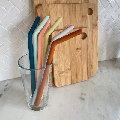 Kids Silicone Straws 6Pk - 10 In