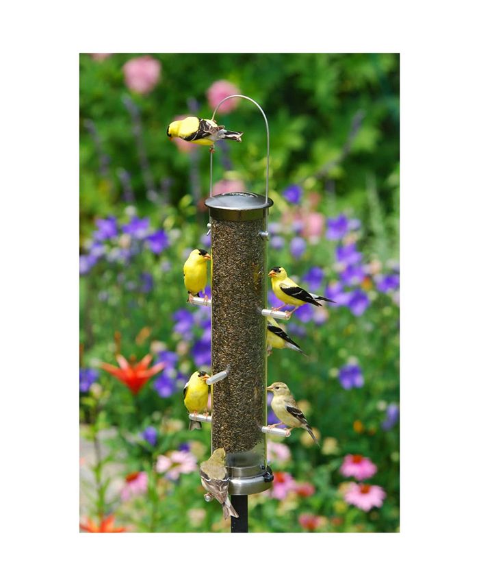 Aspects ASP400 Quick Clean Nyjer Tube Bird Feeder Brushed Nickle Macy's