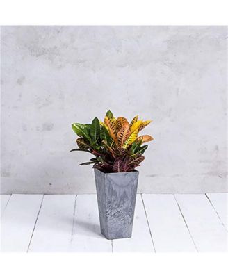 35270 Artstone Ella Tall Square Planter Grey - 27.5-inch