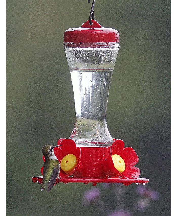 Stokes Select Impatiens Hummingbird Feeder with Four Feeding Ports, 8