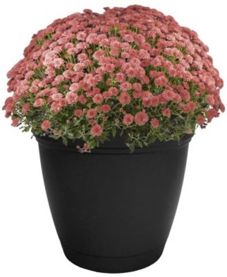 Eclipse Round Plastic Planter w  Saucer  12 -  Black