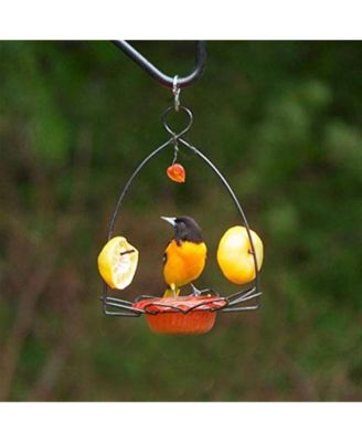 Flower Oriole Bird Feeder Small Orange