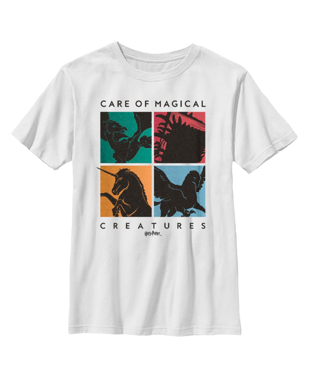 Warner Bros Kids' Boy's Harry Potter Four Fantasy Creatures Child T-shirt In White