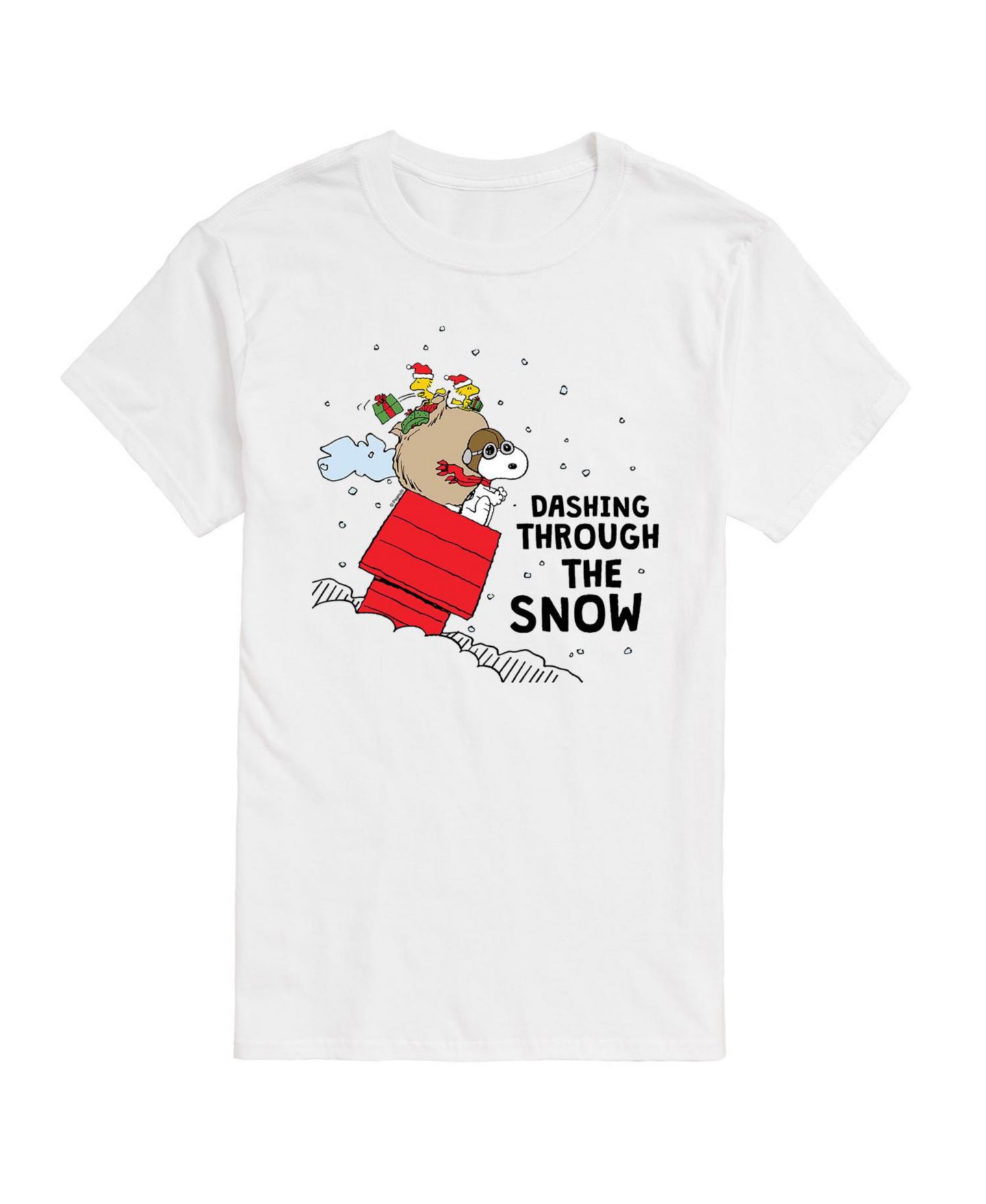 Мужская футболка AIRWAVES Peanuts Dashing Through Snow Short Sleeve, цвет: Белый — фото 1