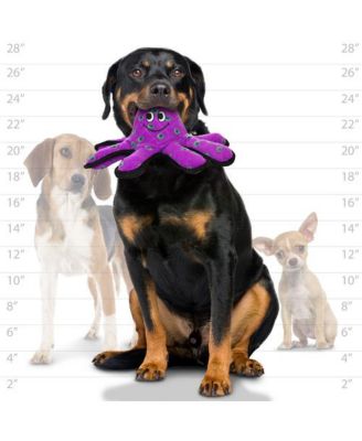 Ocean Creature Small Octopus, Dog Toy