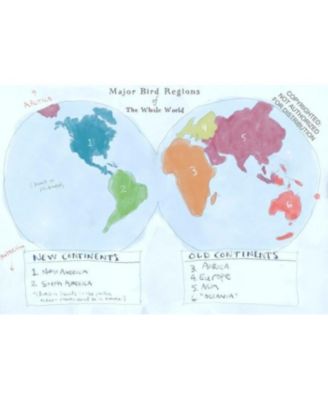 The Field Guide to Dumb Birds of the Whole Stupid World by Matt Kracht