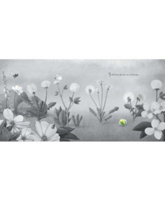 It Fell from the Sky by Terry Fan