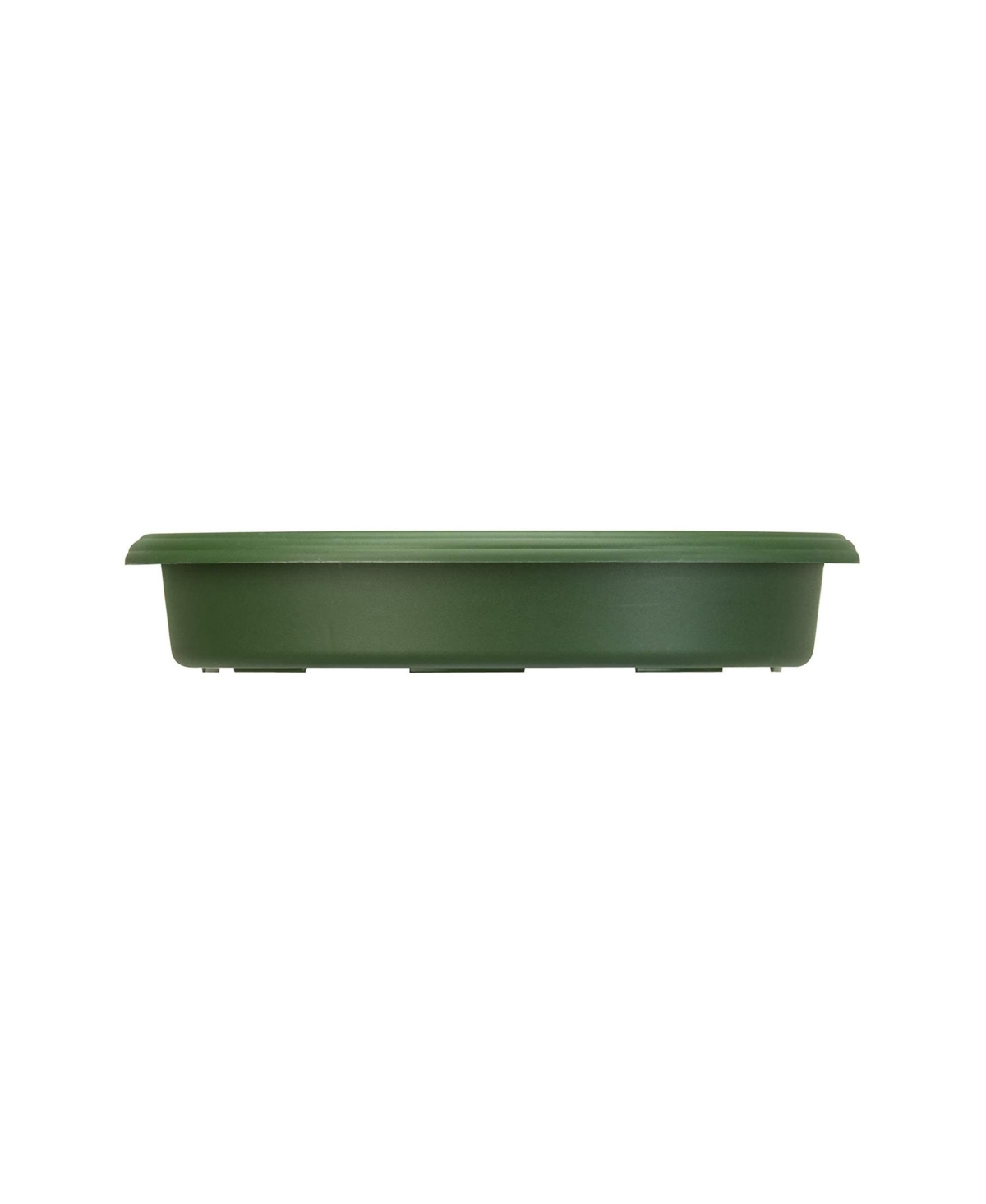 Panterra Plastic Saucer, Green - 8in - Green