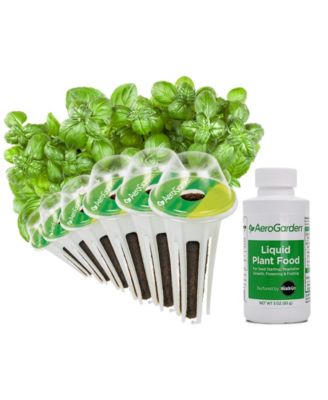 Macy's - Pesto Basil 6-Pod Seed Kit