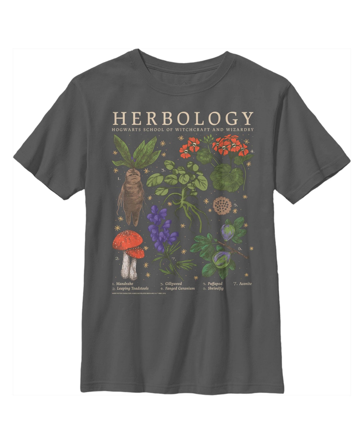 Warner Bros Kids' Boy's Harry Potter Hogwarts Herbology Child T-shirt In Charcoal
