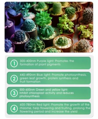 4 Heads 96W LED Grow Light Growing Lamp, Black