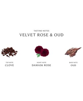 Velvet Rose & Oud Diffuser, 5.6 oz.