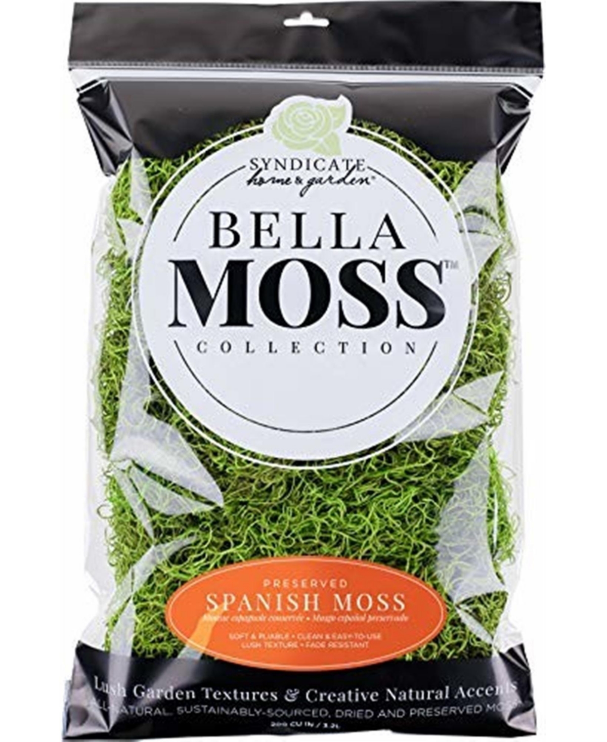 Bella Preserved Spanish Moss, Green - Green