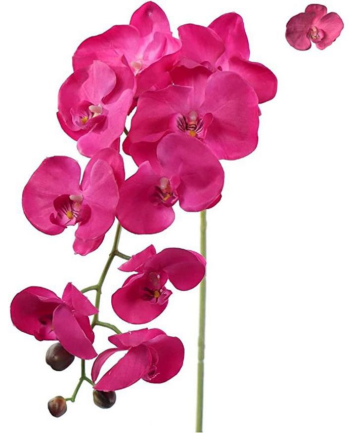 Floral Home Artificial Orchids, Real Touch Ultra Realistic Faux ...