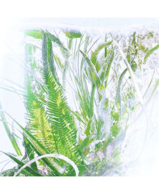 Luxuriance Eau de Toilette Refill, 6.8 oz.