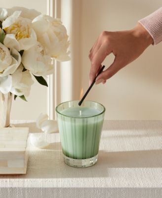 Wild Mint & Eucalyptus Classic Candle, 8.1 oz.