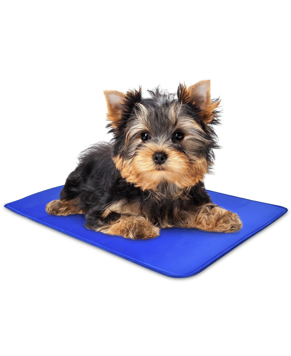 Self Cooling Mat, Gel Based Dog Mat & Pet Bed, X-Small - Blue