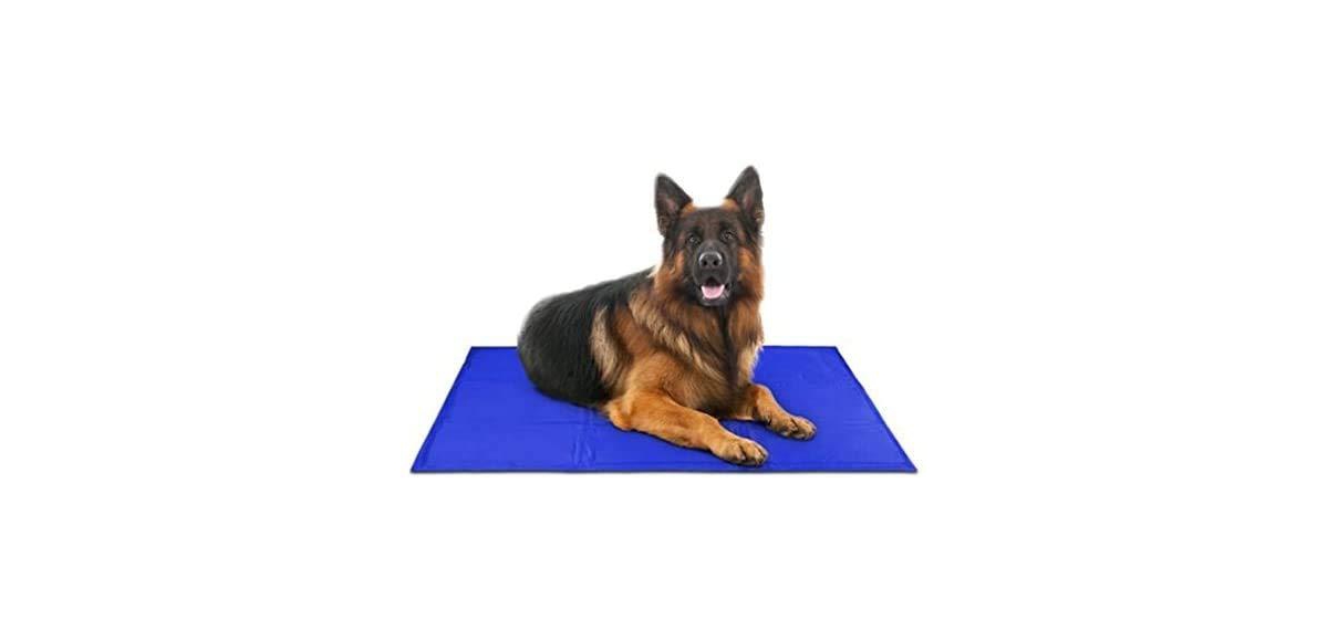 Self Cooling Mat, Gel Based Dog Mat & Pet Bed, Large - Blue