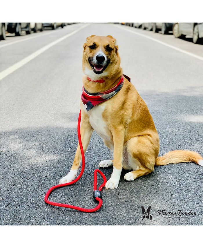Warren London Premium Climbing Rope Dog Leash with Carabiner Lobster