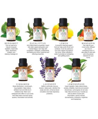 14 Pack of 100% Pure Essential Aromatherapy Oils