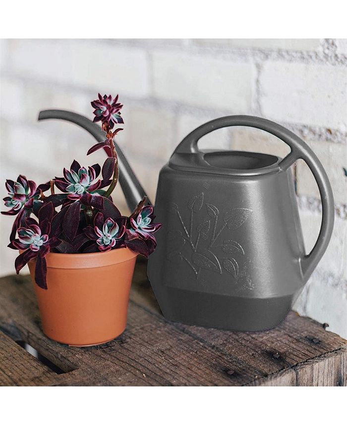 Bloem Aqua Rite Watering Can 56 oz Macy's