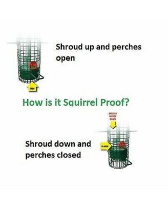 1015 Squirrel Buster Classic Tube Bird Feeder, Green