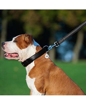 Waudog Leather Round Slip Leash W4MM- L183CM YELLOW