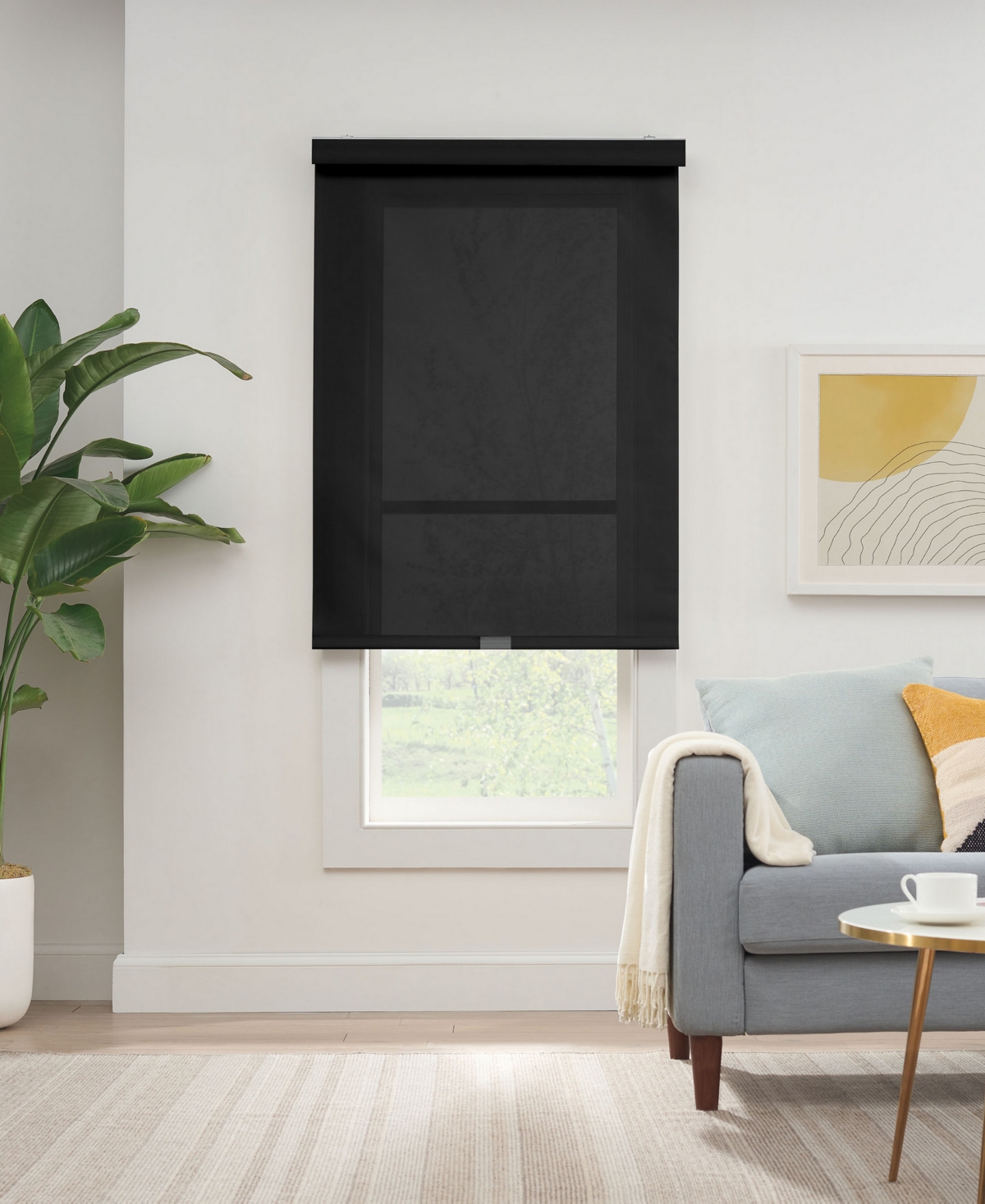 Eclipse Solar Cordless Light Filtering Privacy Roller Shade, 72" X 34" In Black