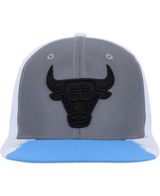 Men's Silver, Blue Chicago Bulls Day 5 Snapback Hat