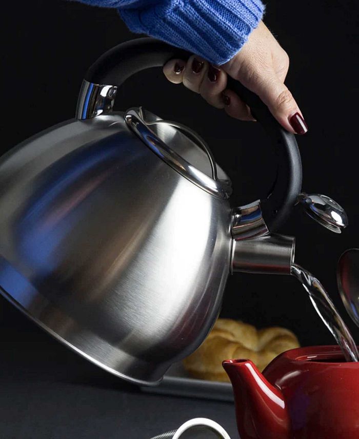 Primula Stainless Steel 3 Quart Cascade Whistling Stovetop Tea Kettle