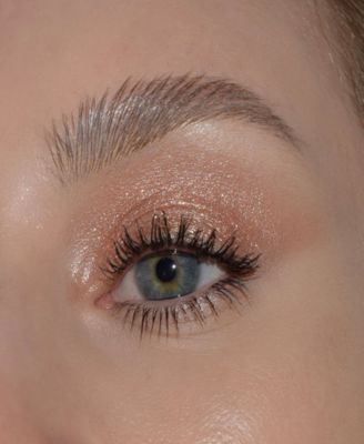 Glitter Pigment Eye shadow