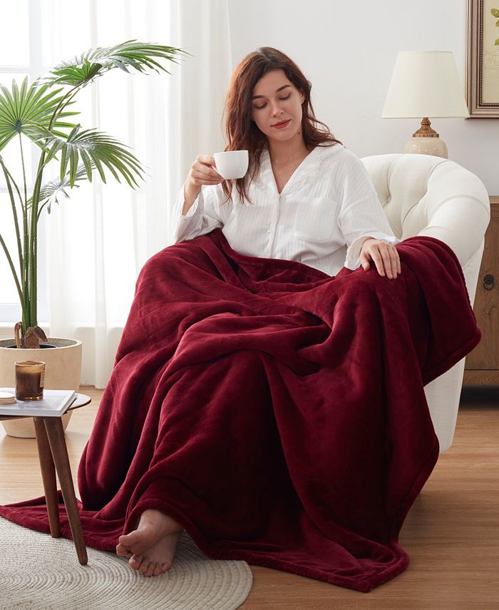 Westinghouse Westing House Heated Throw Velour with Sherpa Reverse, 50