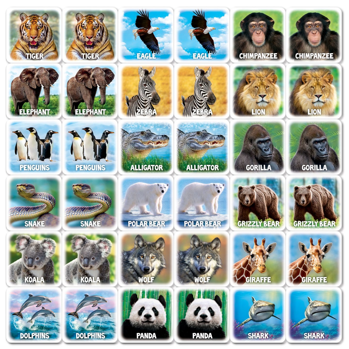 Детская карточная игра MasterPieces Puzzles World of Animals Matching Game, цвет: Разноцветный — фото 2