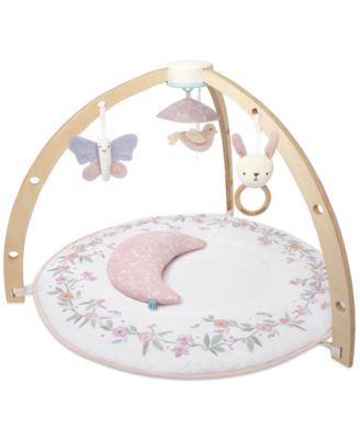 aden by aden + anais - Baby Girls Infant Activity Gym